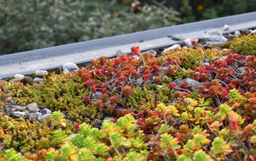 the cost of Brockdish green roof installation