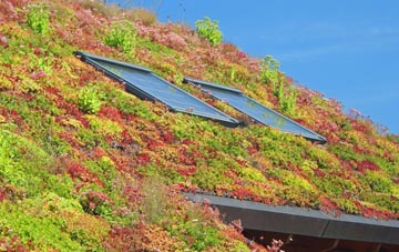 Brockdish living roof systems