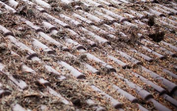 Brockdish roof cleaning companies